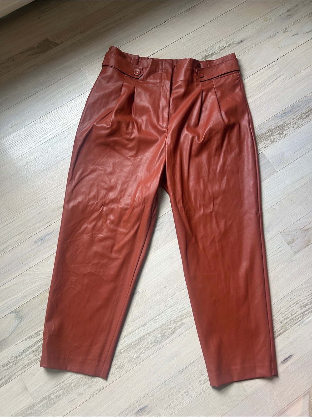 Ann Taylor Rust Leather Trousers